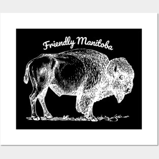 Friendly Manitoba Bison White Posters and Art